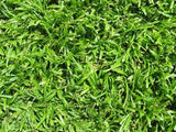 LM Berea Instant Lawn (100 SQM)