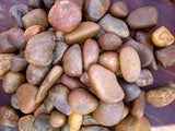 1 Ton Multi Red Natural Pebbles  (50 x 20Kg bags)