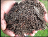 3 Cubic Potting Soil